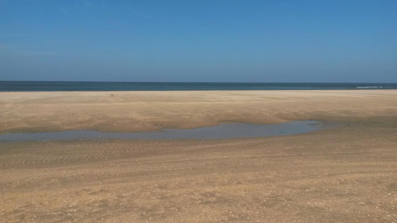 Vitamin Sea Heemskerk Buitenkant foto