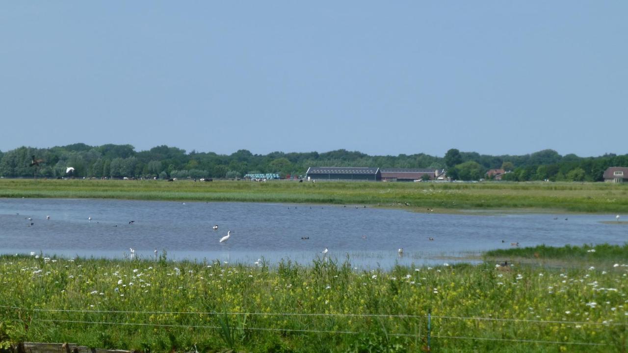 Vitamin Sea Heemskerk Buitenkant foto